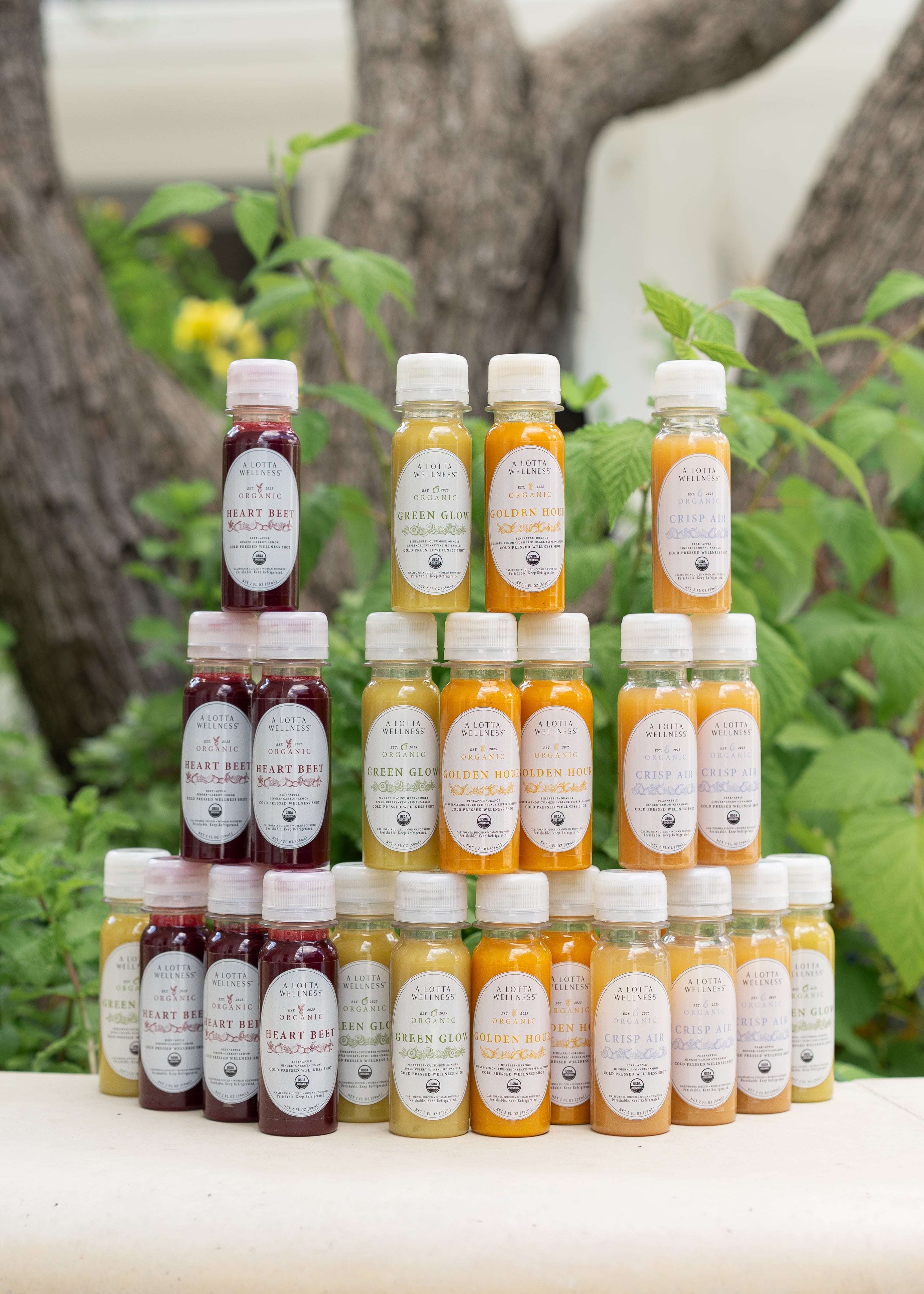 Grande Lifestyle Selection | 24 Shots