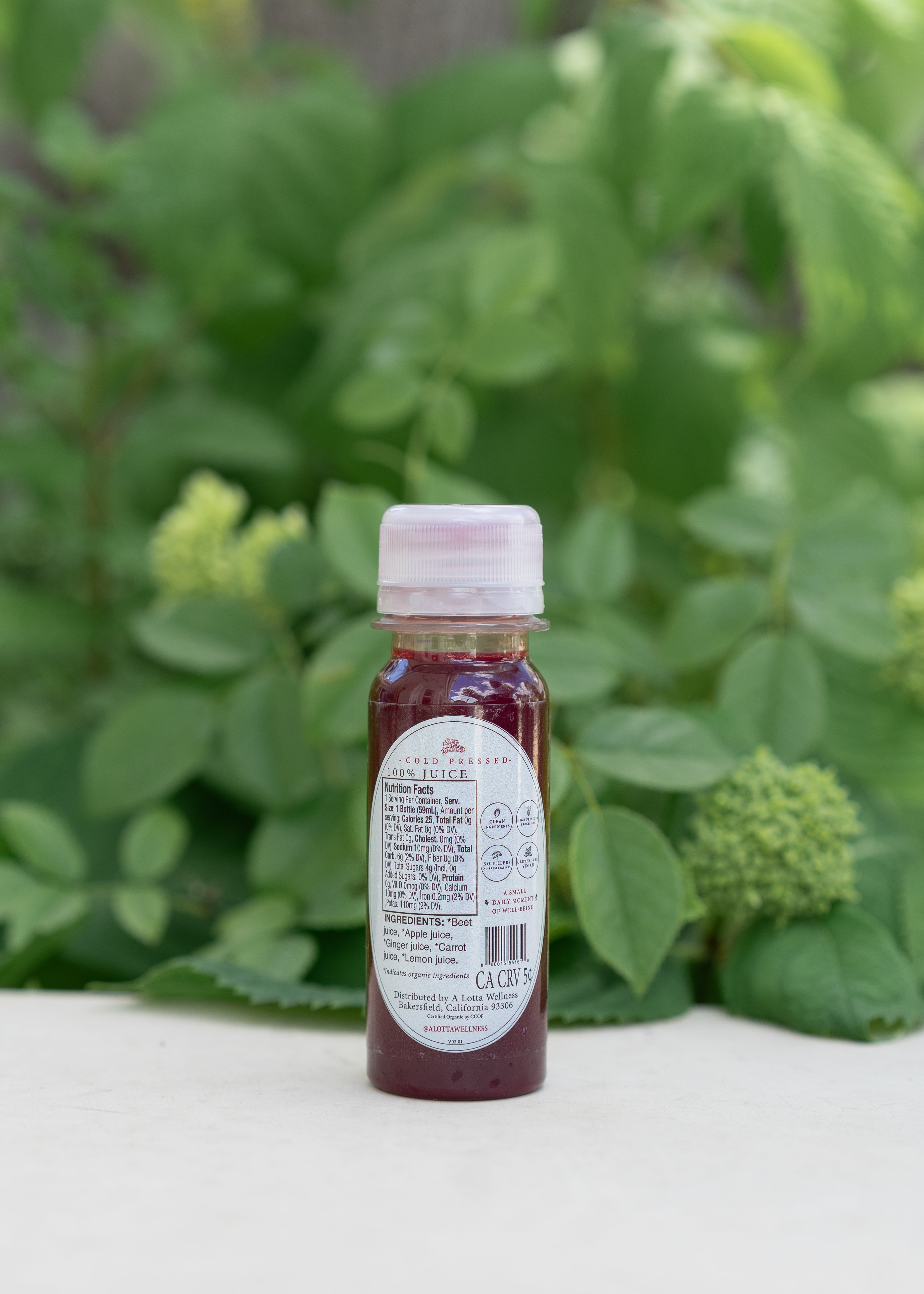 Heart Beet | 12 Shots
