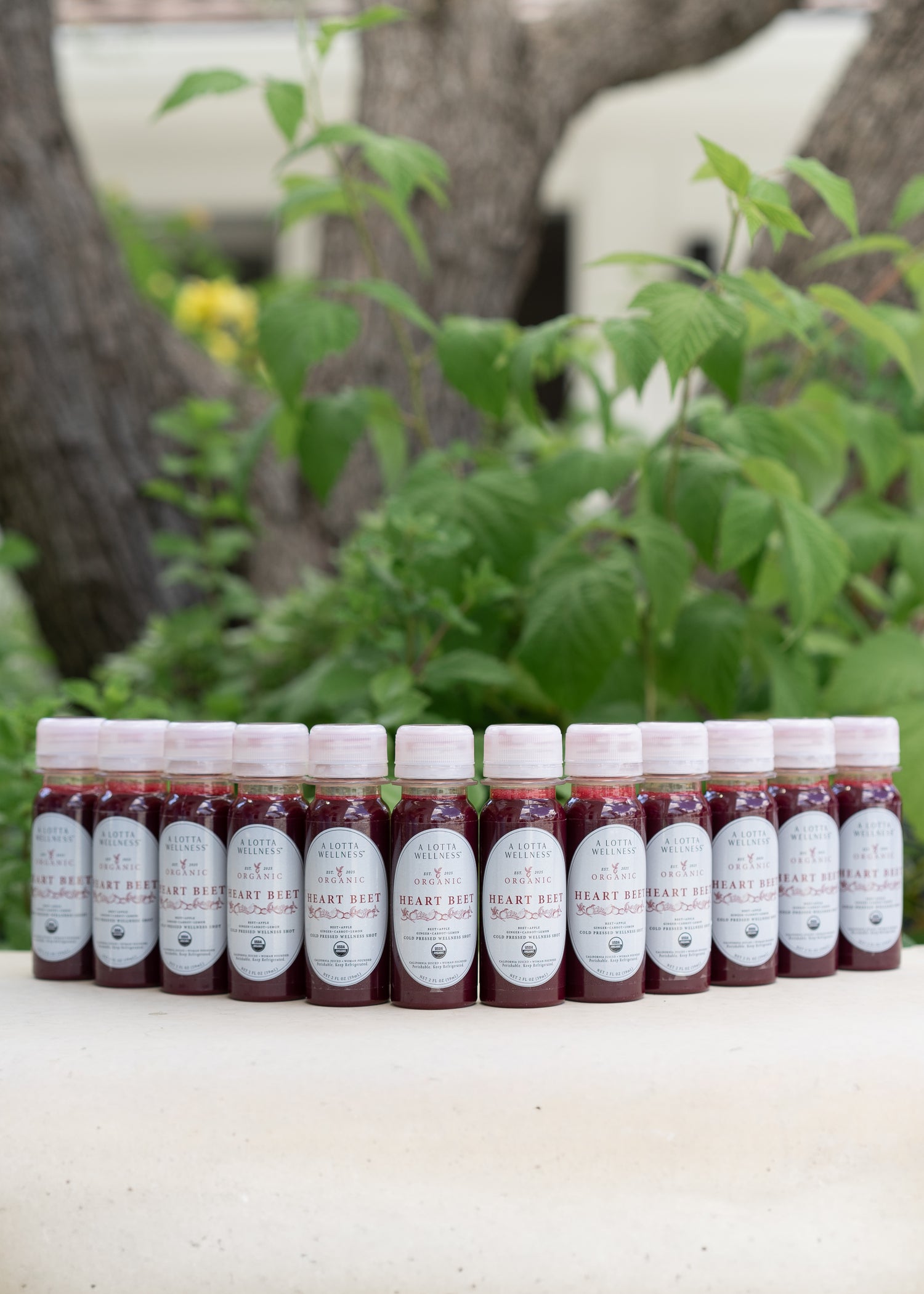 Heart Beet | 12 Shots