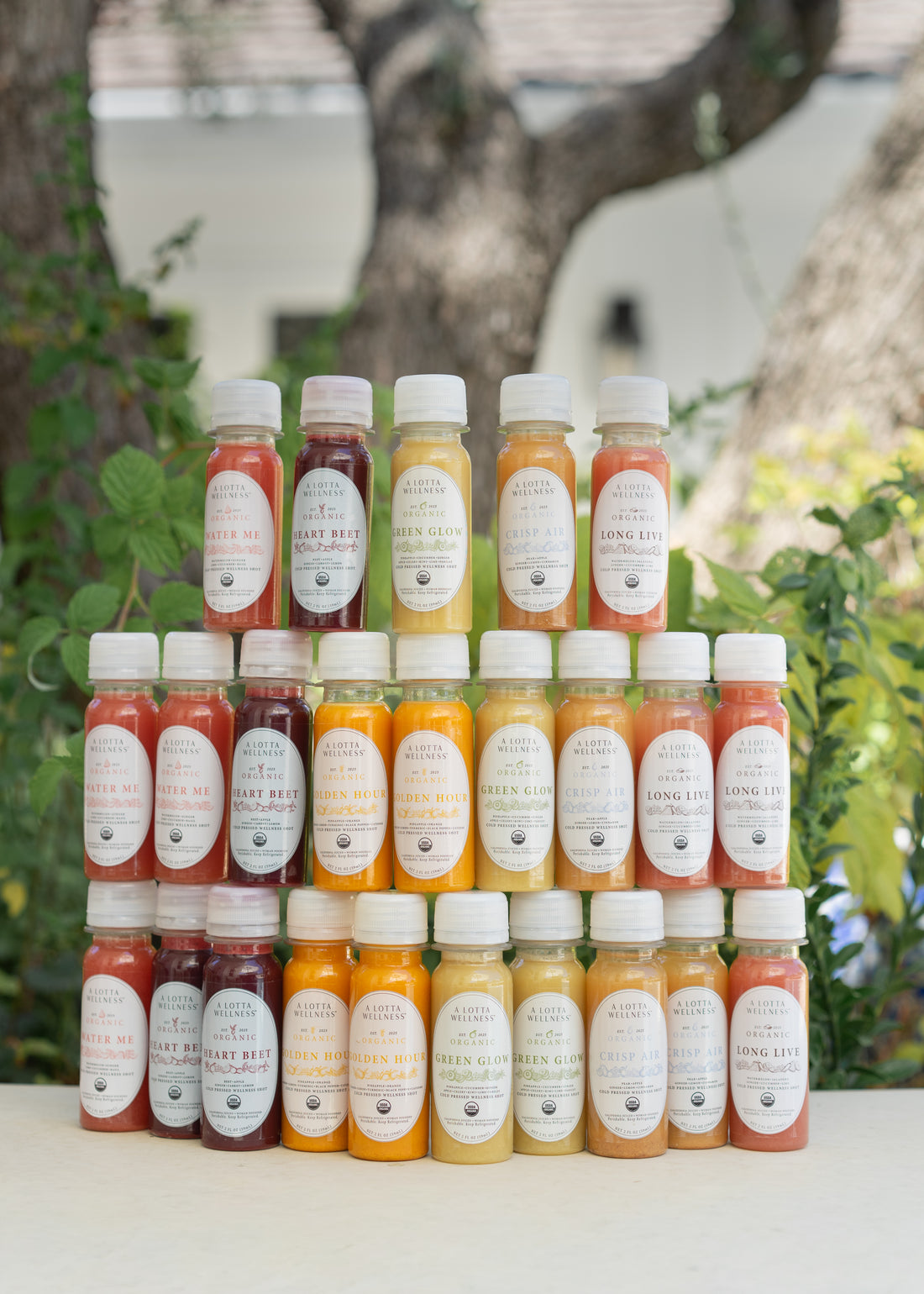 Grande Lifestyle Selection | 24 Shots