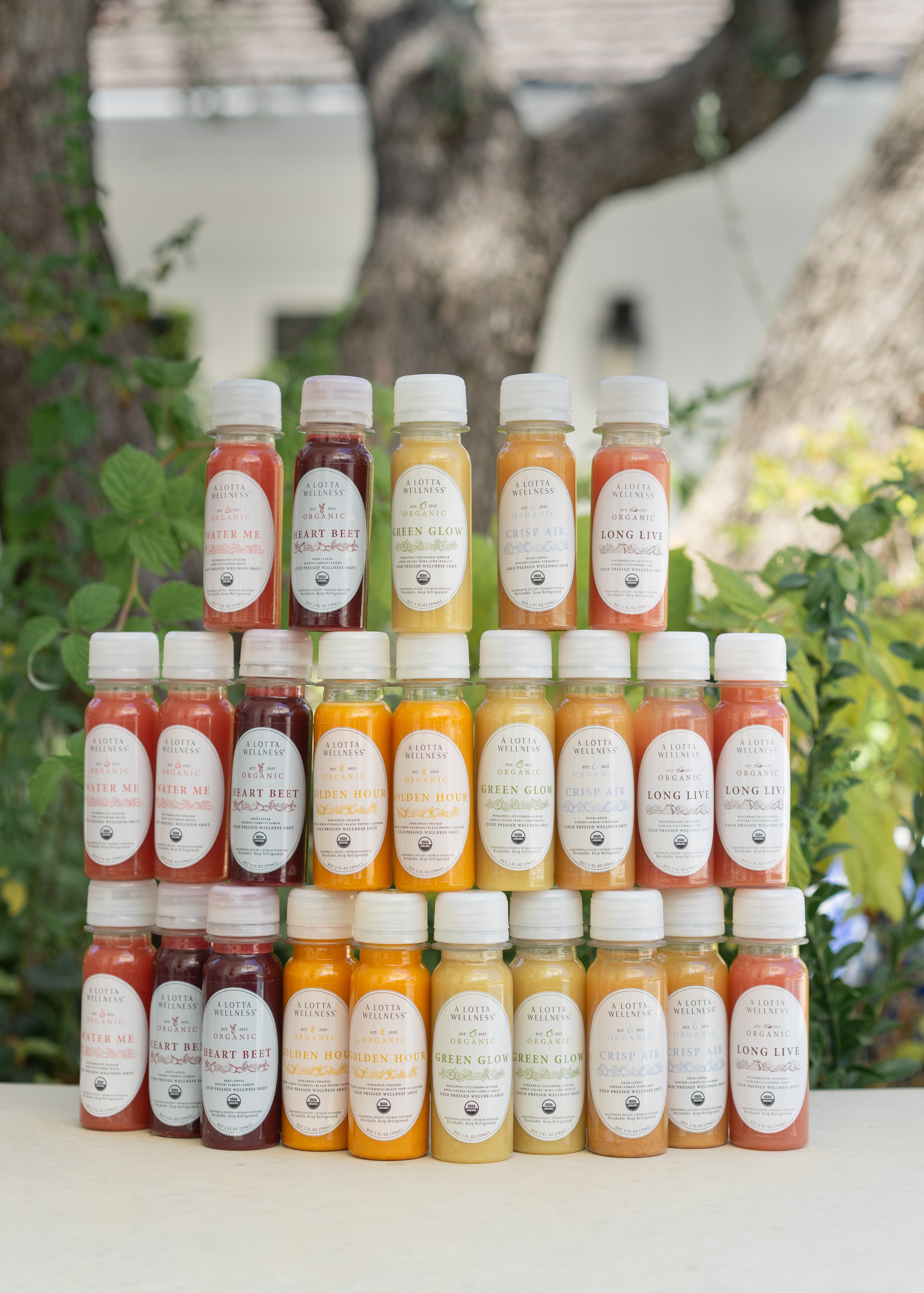 Grande Lifestyle Selection | 24 Shots